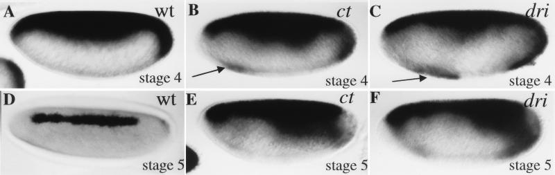 FIG. 5