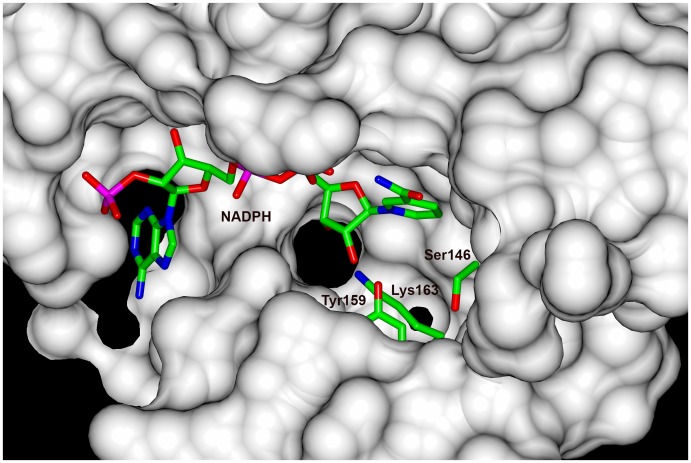 Figure 5