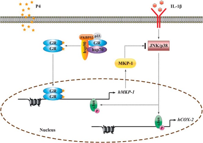 Figure 7.