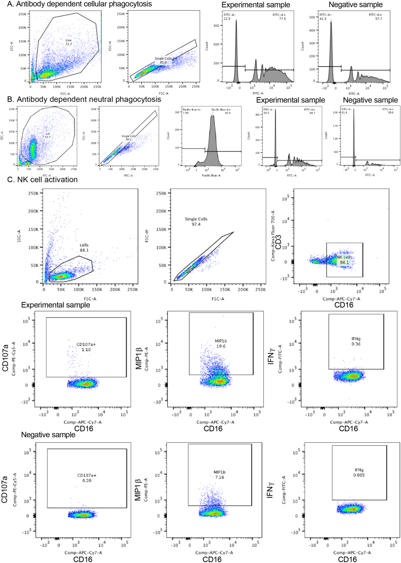 Extended Data Fig. 8