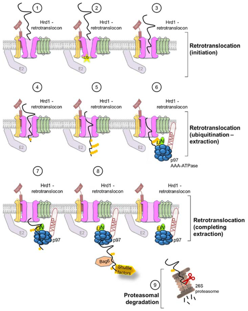 Figure 3: