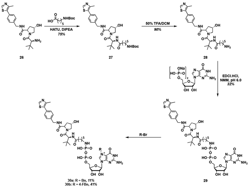 Scheme 4.