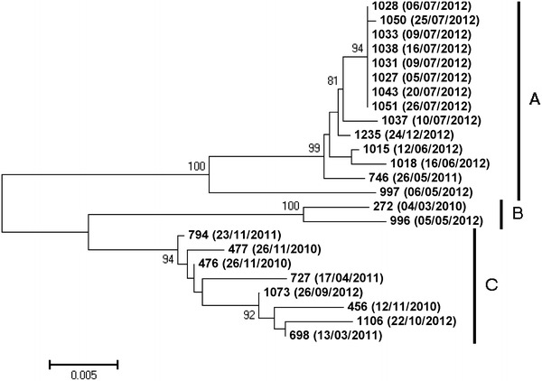 Fig. 1