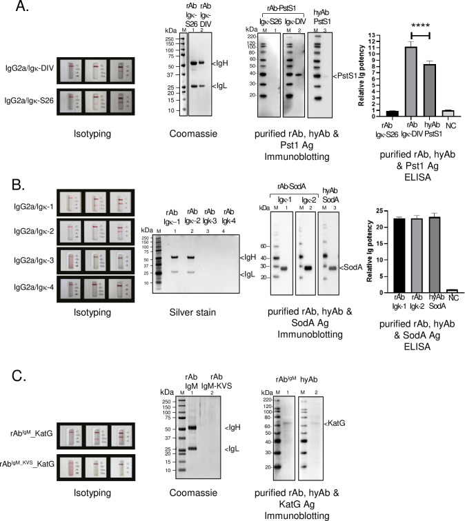 Fig 4