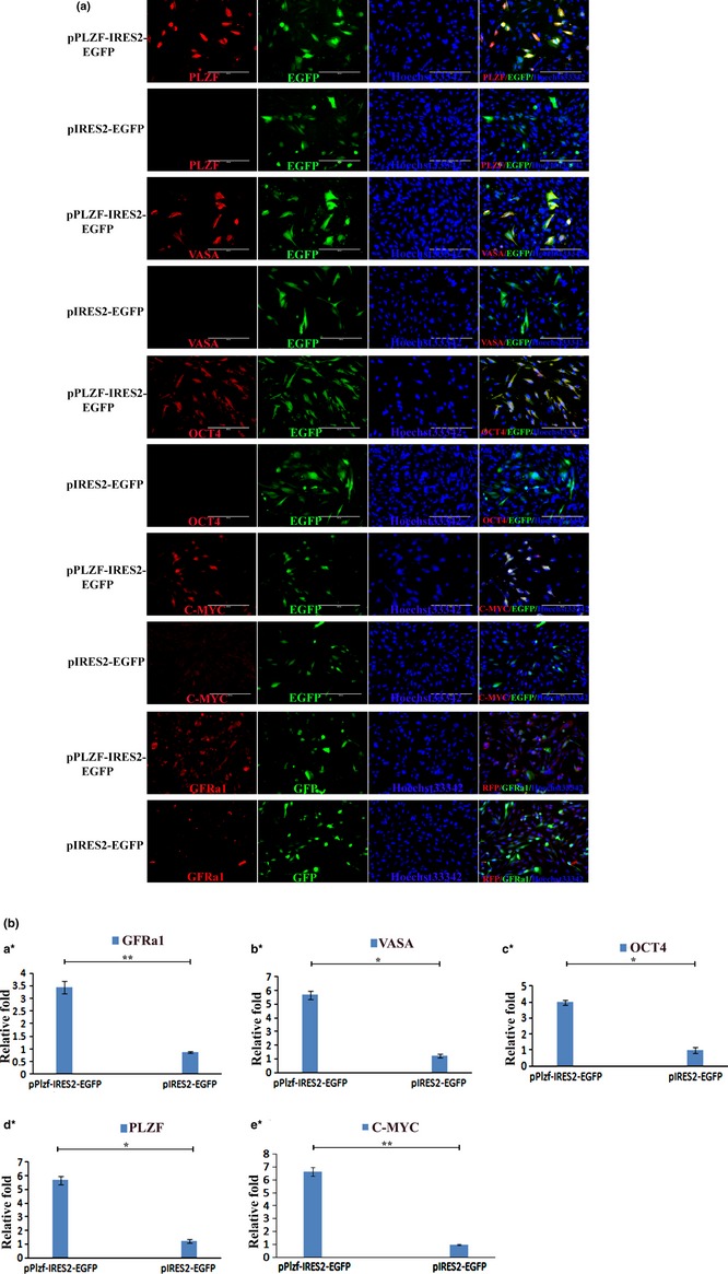 Figure 6a