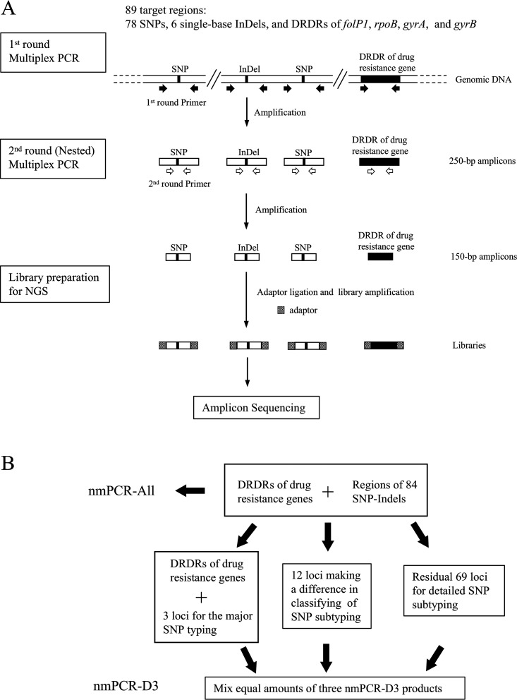 FIG 1