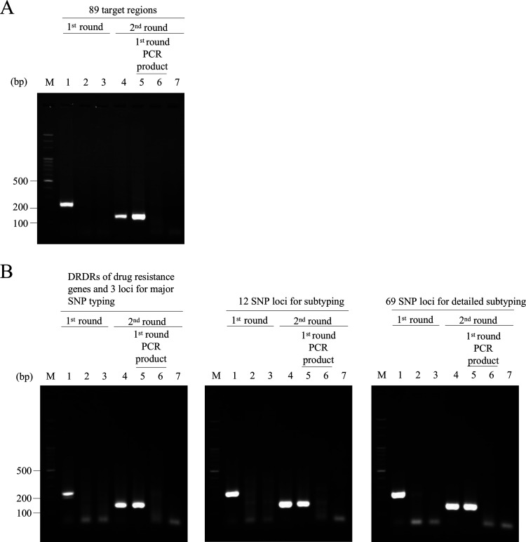 FIG 2