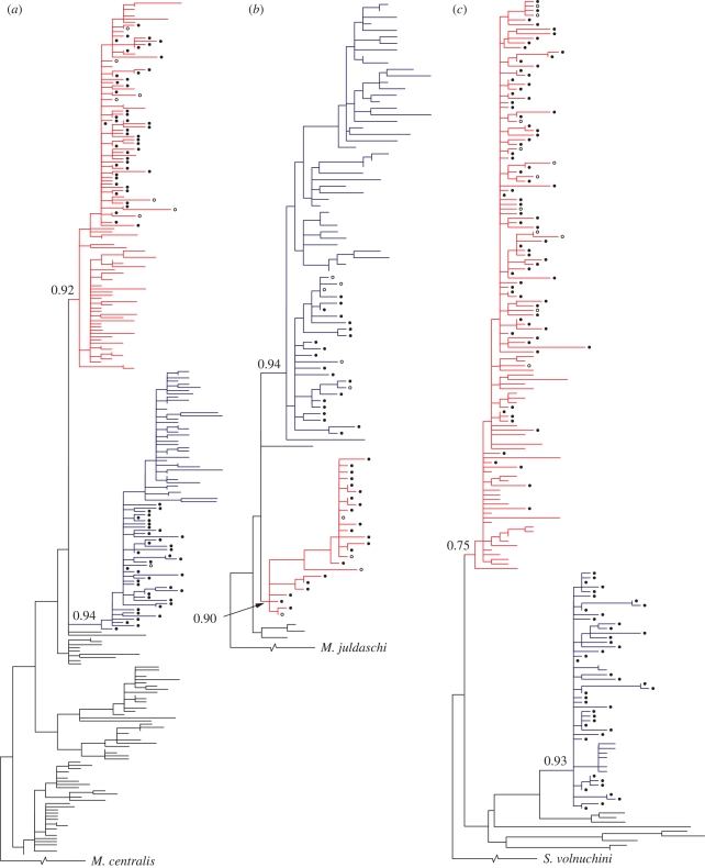 Figure 2.