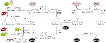 Fig. 1.