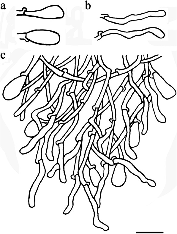 Fig. 11