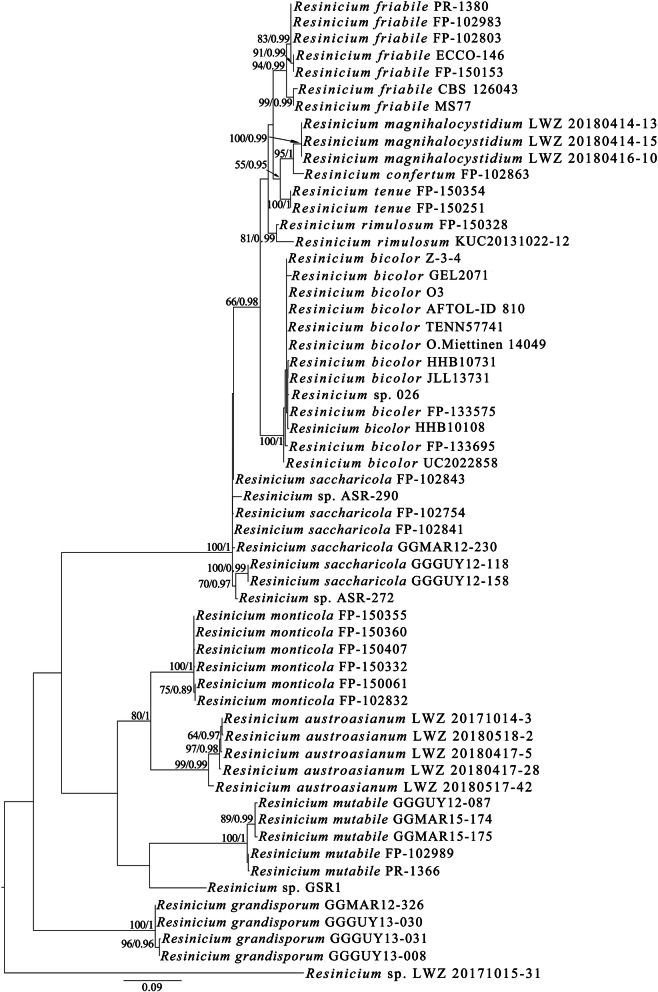 Fig. 2