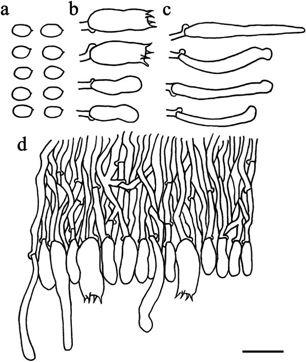 Fig. 13