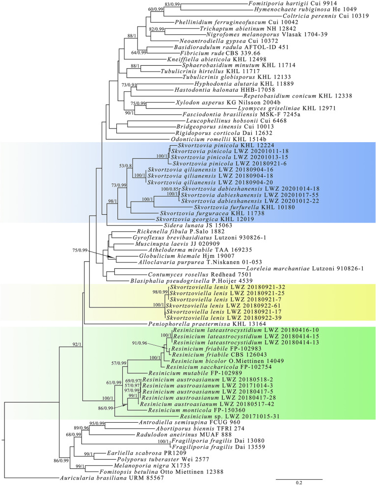 Fig. 1