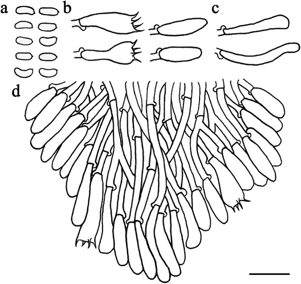 Fig. 9
