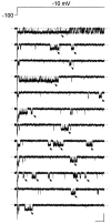 F<sc>igure</sc> 1.