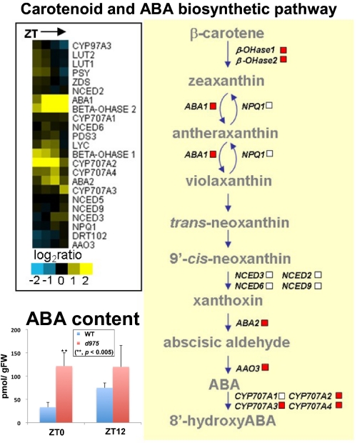 Fig. 3.