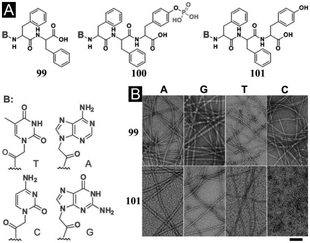 Figure 32