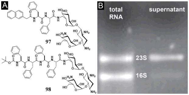 Figure 31