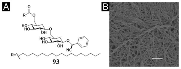 Figure 29