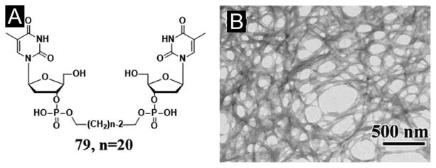 Figure 22