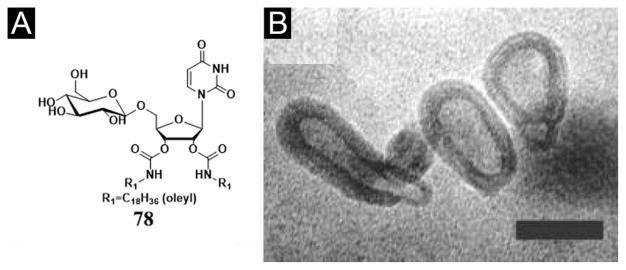 Figure 21