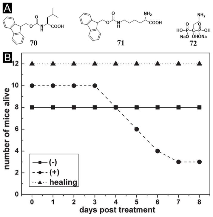 Figure 17