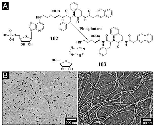 Figure 33