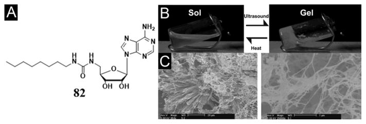 Figure 24