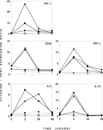 FIG. 3.