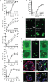 FIG 4