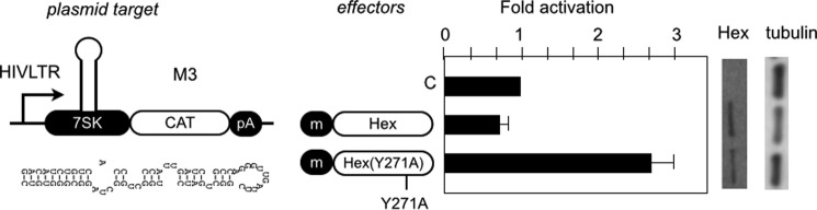 FIGURE 7.