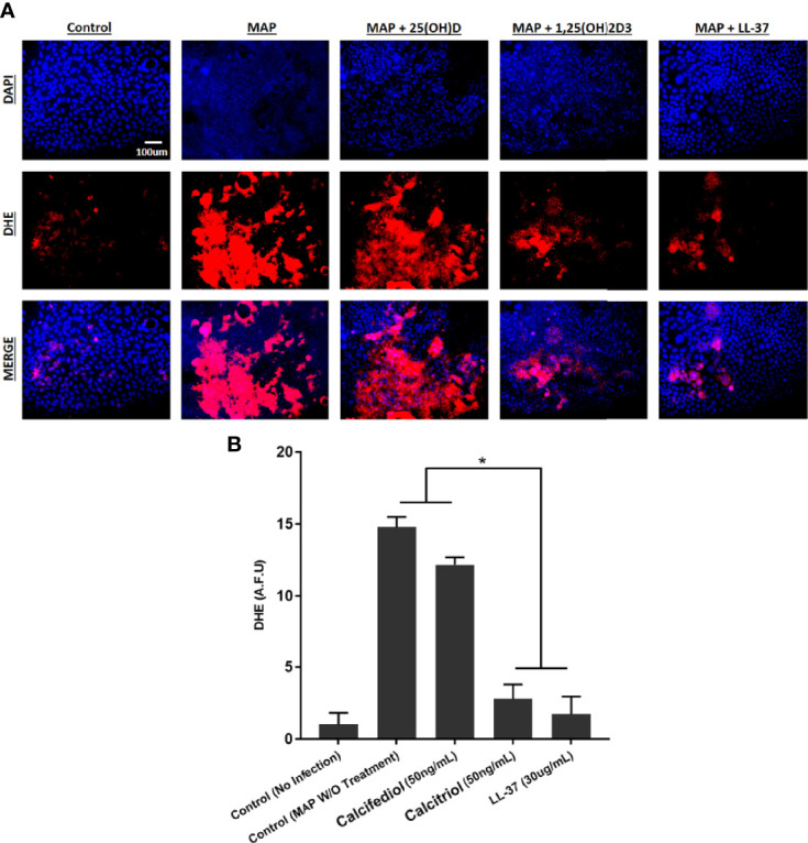 Figure 10