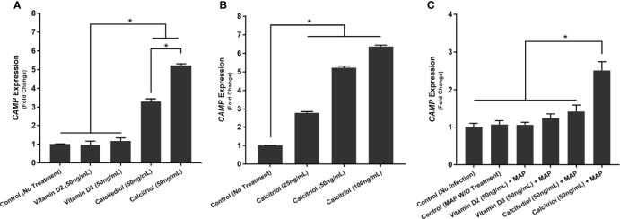 Figure 2