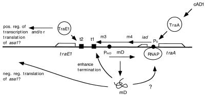 FIG. 9