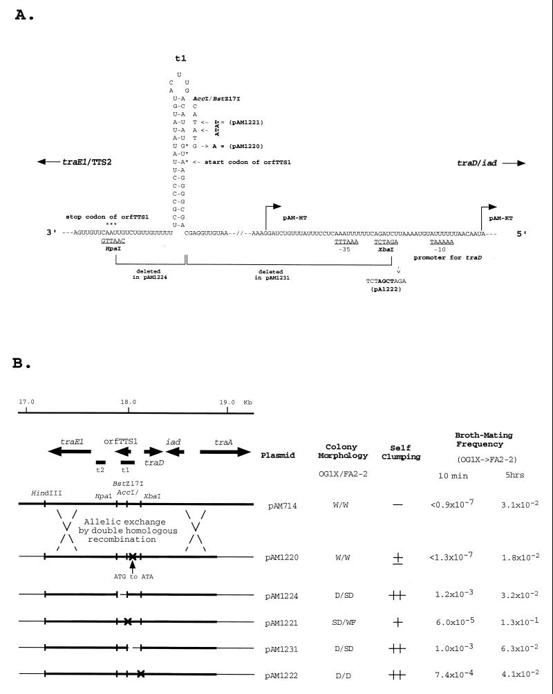 FIG. 7