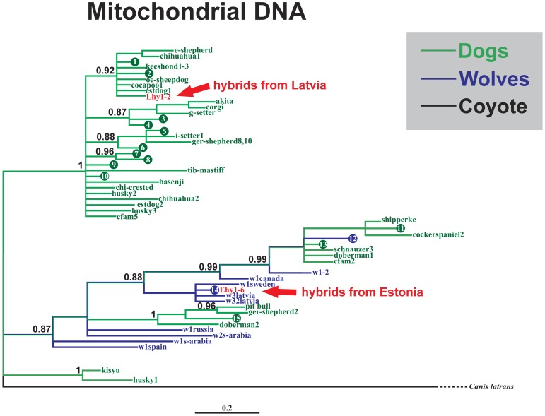 Figure 6