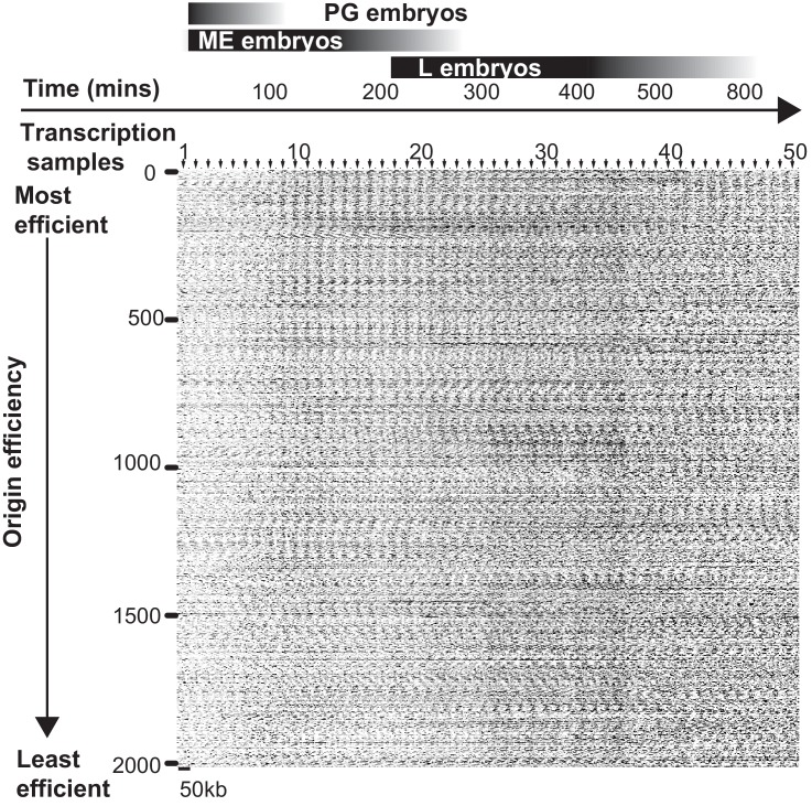 Figure 4—figure supplement 2.