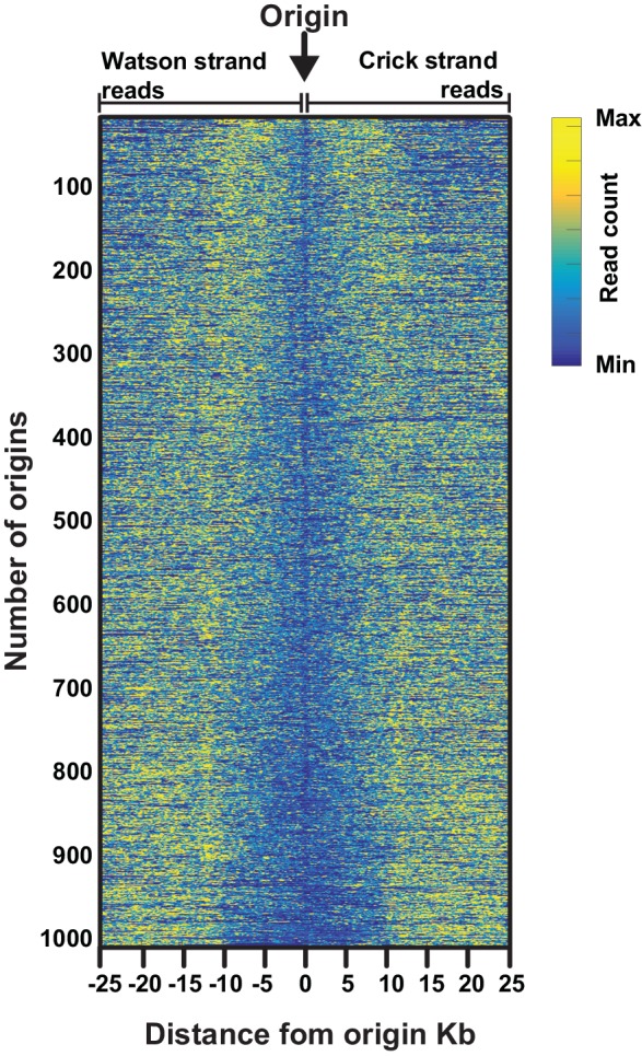 Figure 1—figure supplement 3.