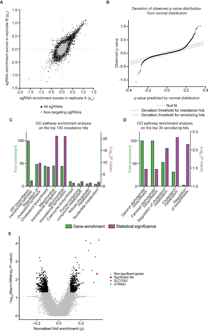 Figure 1—figure supplement 1.