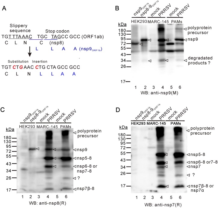 Fig. 4