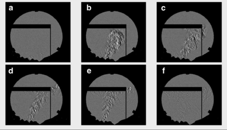 Fig. 1