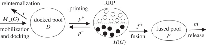 Figure 1.