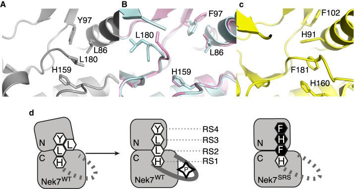 Figure 1.