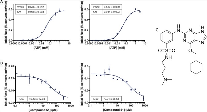 Figure 2.