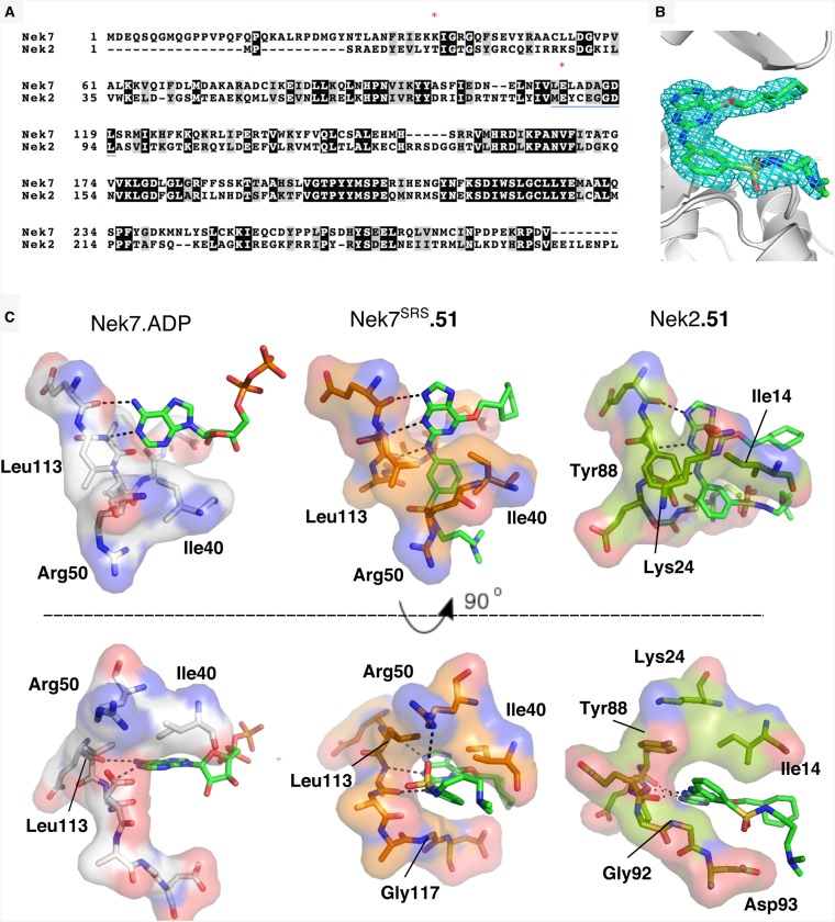 Figure 6.