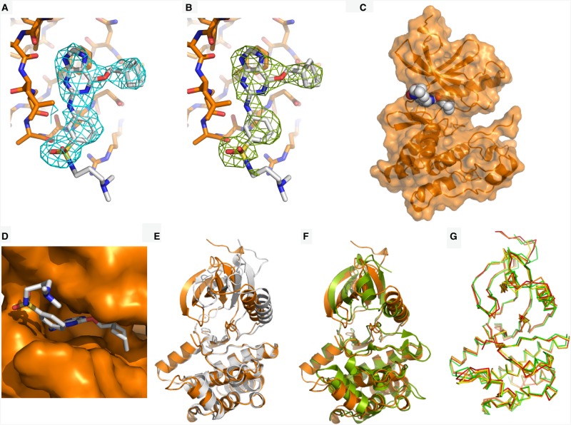 Figure 3.