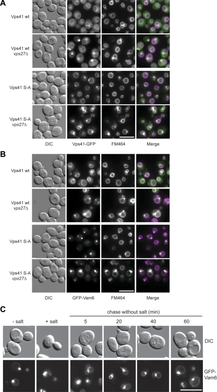 Figure 6.