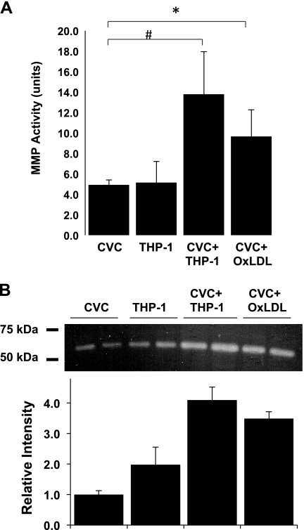 Fig. 5.