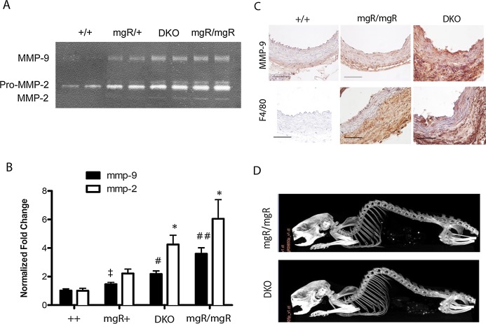 Figure 6.