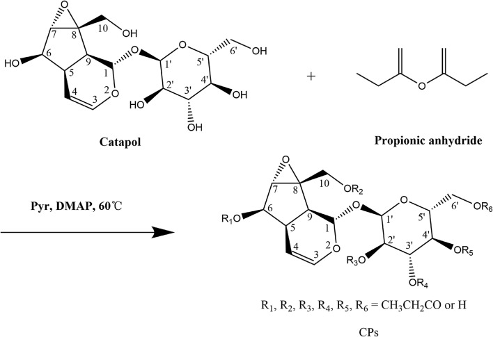 Scheme 1